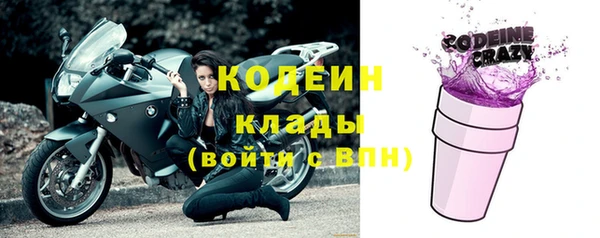 сатива Корсаков